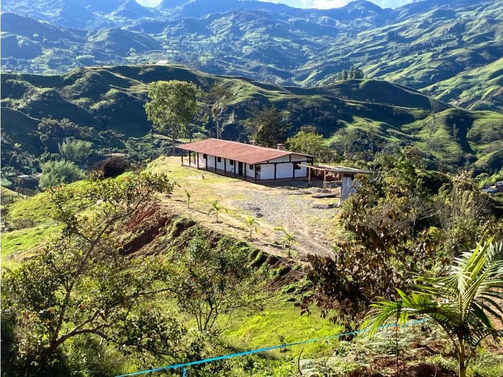 VENTA DE FINCA EN CONCEPCION (ANTIOQUIA) - 1