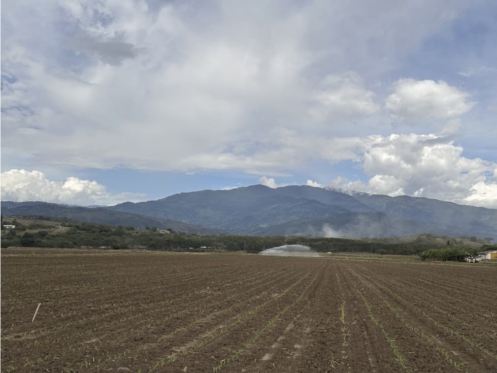 LOTE PARA DESARROLLO INDUSTRIAL BUGA - 1