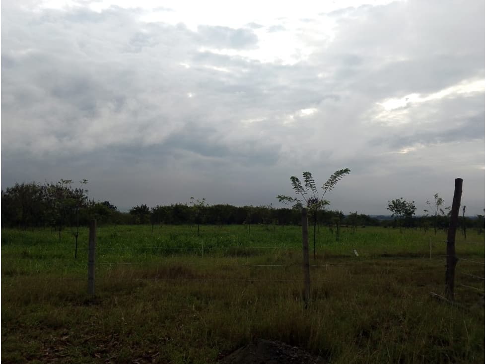 LOTE POR HECTAREAS EN ALQUILER VIA YUMBO VIJES - 1