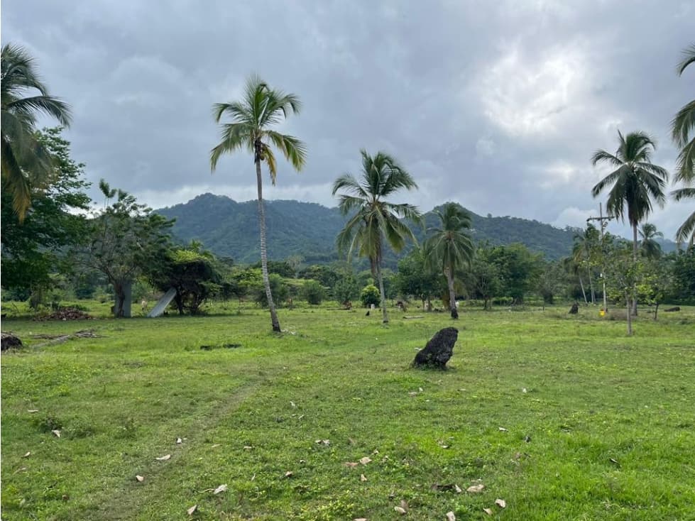 Lotes en Buritaca, Magdalena, cerca al Parque Tayrona - 1