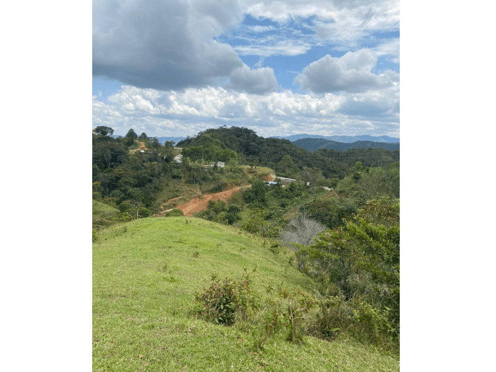 Lotes con linda vista y bosque nativo ingreso via principal-Yolombo - 1