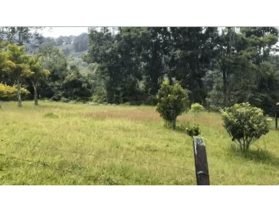 Lote Urbano en condominio Jardin-Antioquia - 1
