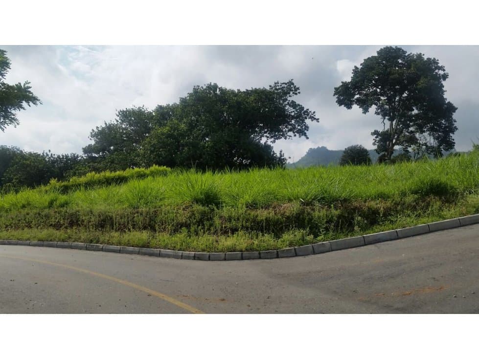 LOTE EN VENTA EN SANTÁGUEDA PALESTINA | LOTES EN VENTA - 1