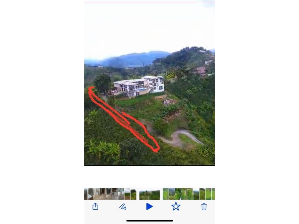 VENTA LOTE SAN PEREGRINO MANIZALES 21.500m² | LOTE PRODUCTIVO EN VENTA - 1