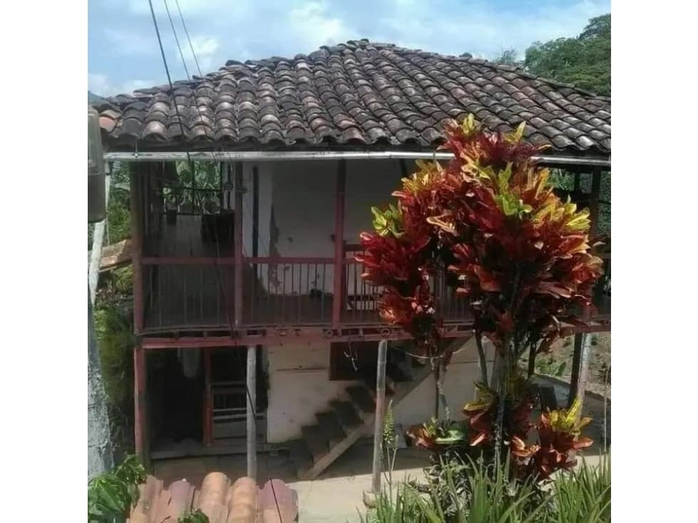 VENTA FINCA VEREDA EL DESCANSO NEIRA 108.800m² | FINCA EN VENTA - 1