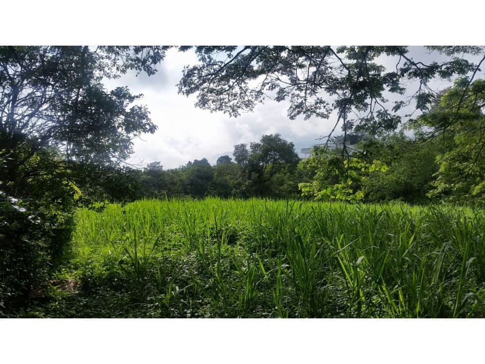 LOTE EN VENTA EN CONJUNTO CERRADO DE PALESTINA CALDAS | VENTA LOTE - 1