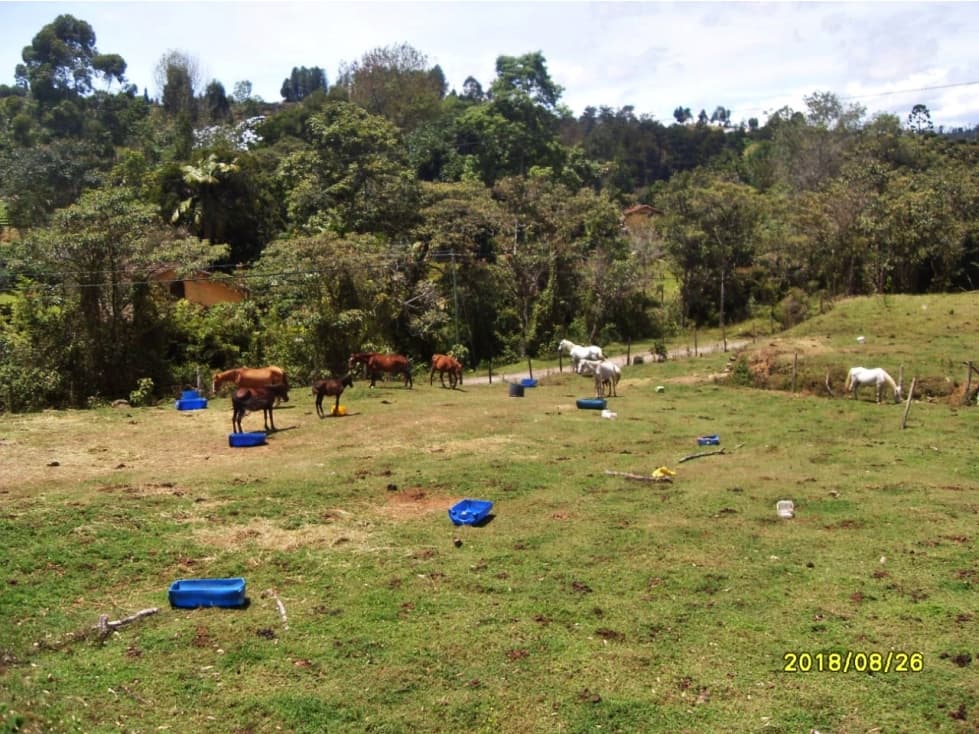 LOTE DE 19.575M2 EN GUARNE CON 60M2 CONSTRUUIDOS - 1