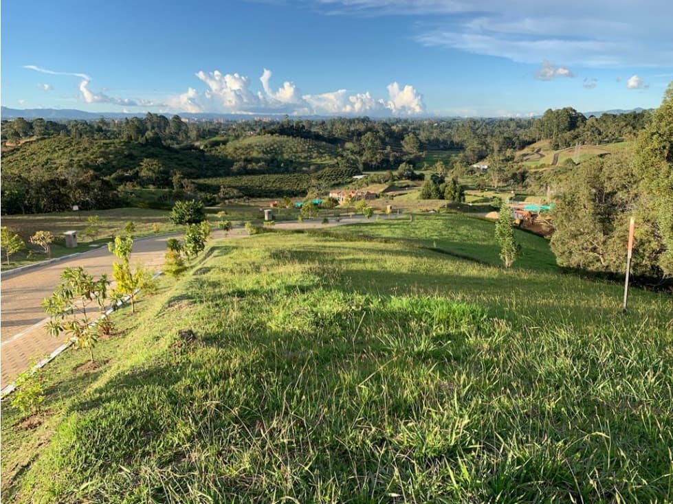 PROYECTO LLANOGRANDE HILLS - 1