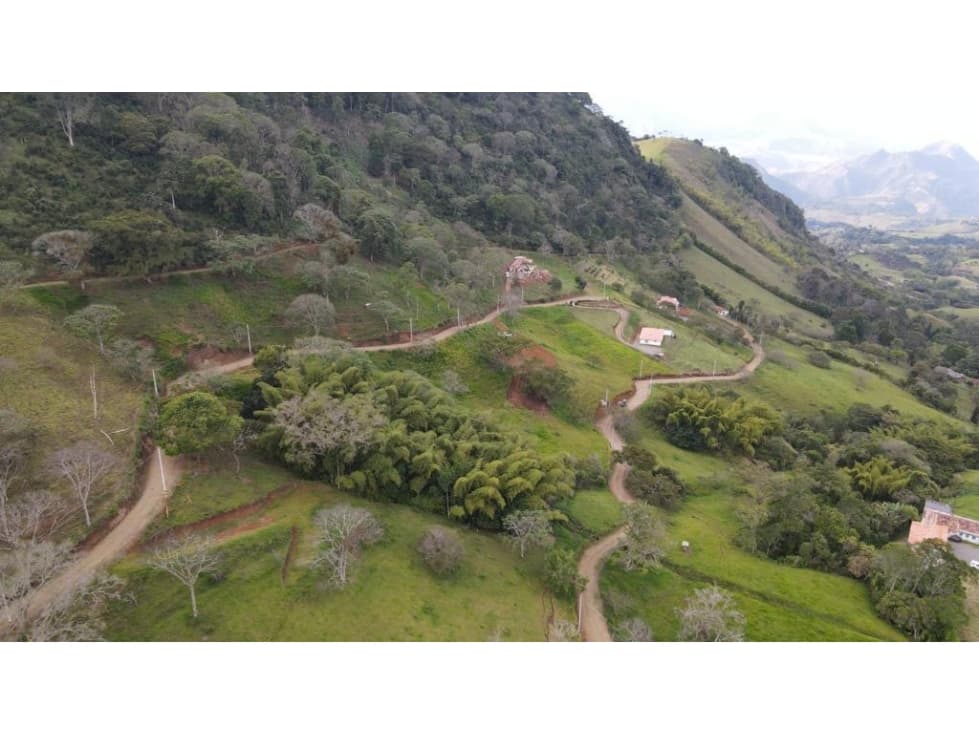 Lote en parcelación para Venta en Tarso - Rural - 1