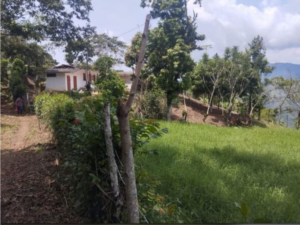 Finca Armenia Mantequilla - 1