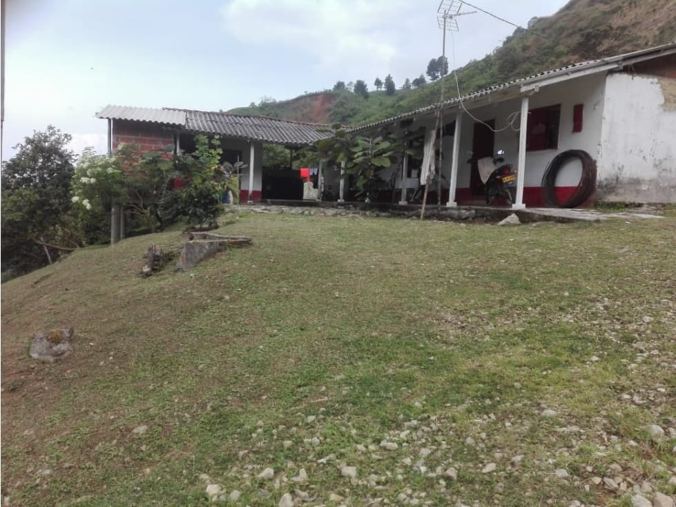 Venta de Finca de 42 hectáreas Sector Vereda El Cedro Ebéjico - 1