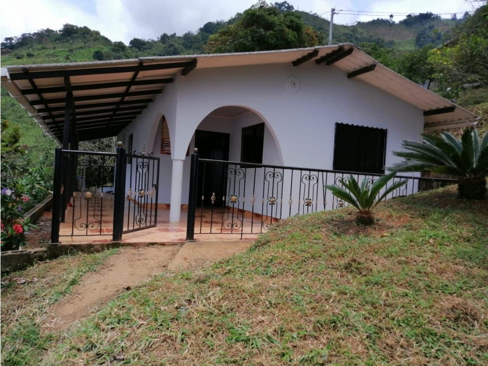 Venta De Casa Campestre Vereda La Renta Ebéjico - 1