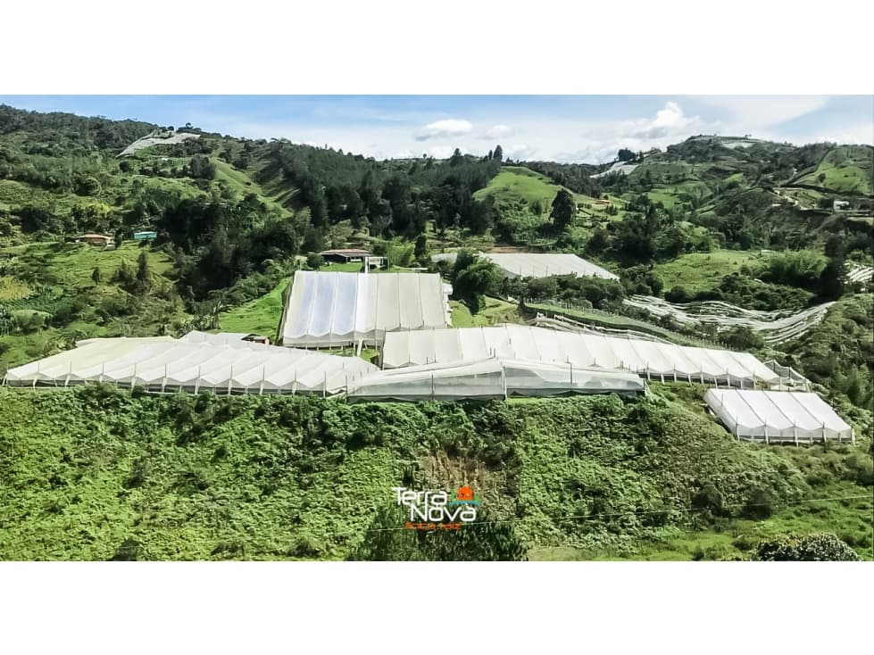 Tierra apta para cultivo en venta El Peñol - 1