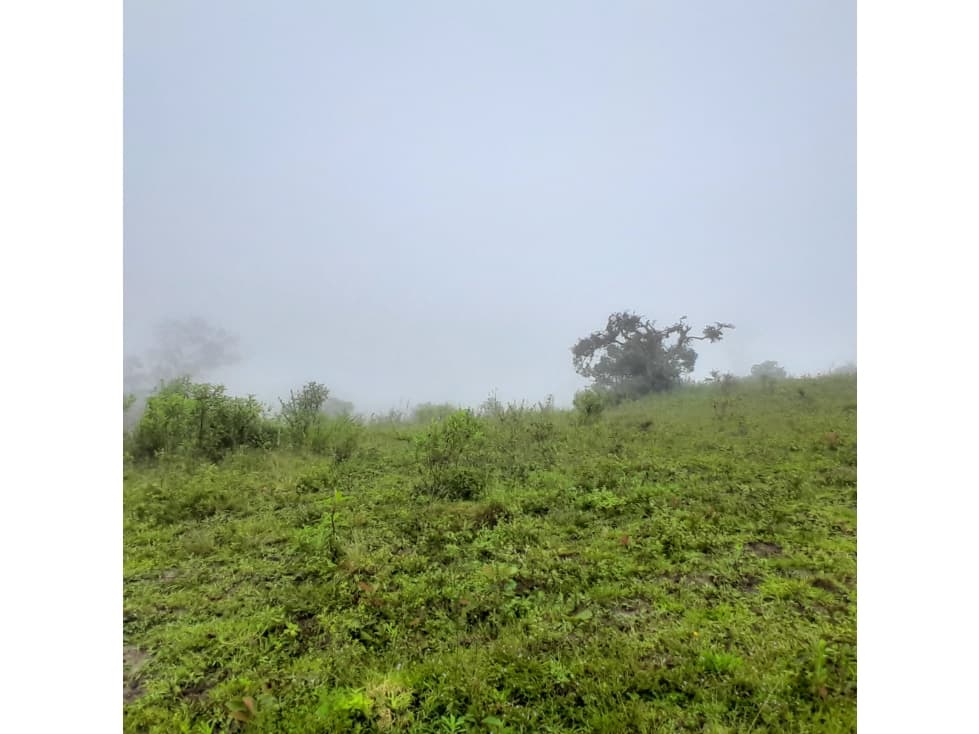 Venta Finca Vereda El Hato, Choachí, Cundinamarca - 1