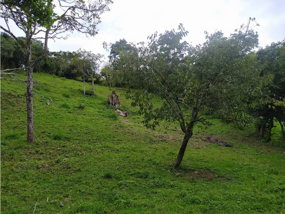 Lote en Venta en el municipio de Choachi Cundinamarca - 1