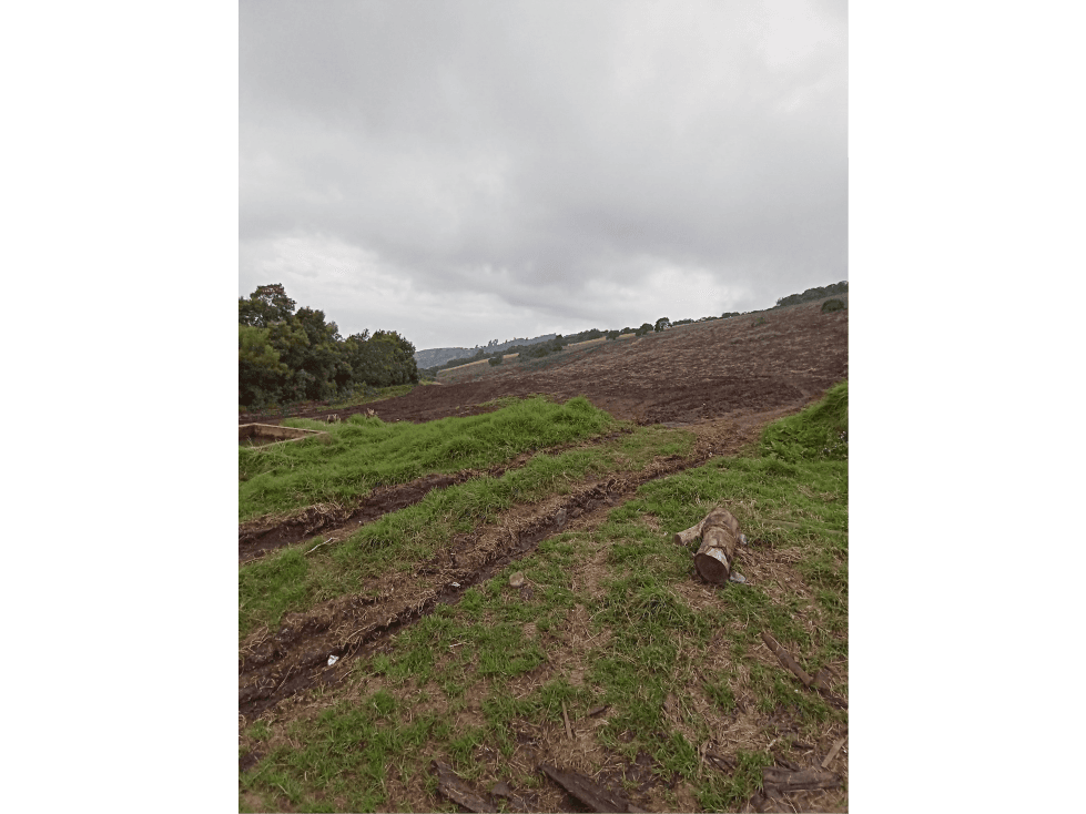 Venta de Terreno Agropecuario en Tausa - cundinamarca - 1