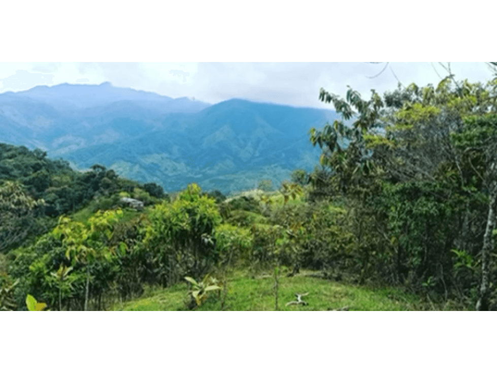 Lote en Venta San Rafael dentro de corredor turístico de Guatapé - 1