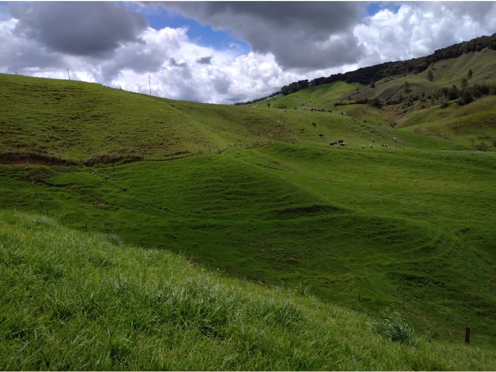 Venta Finca en Santa Rosa de Osos - 1