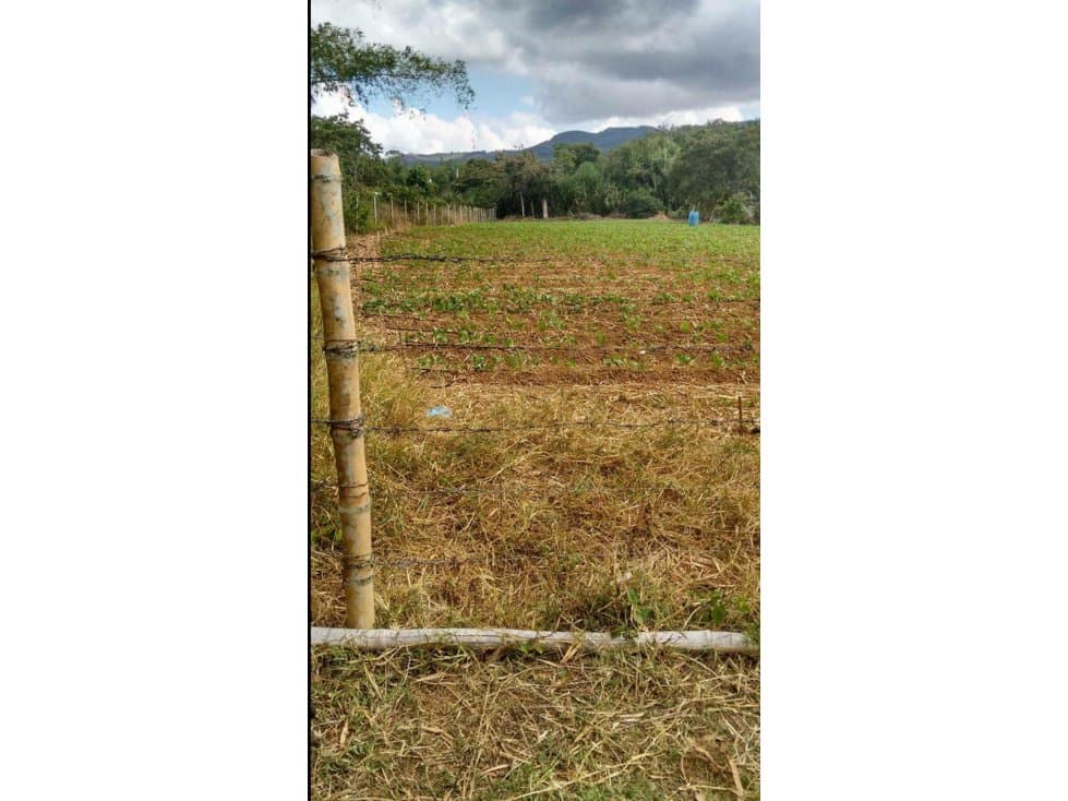 Lote en Venta en Pavas (J.C) - 1