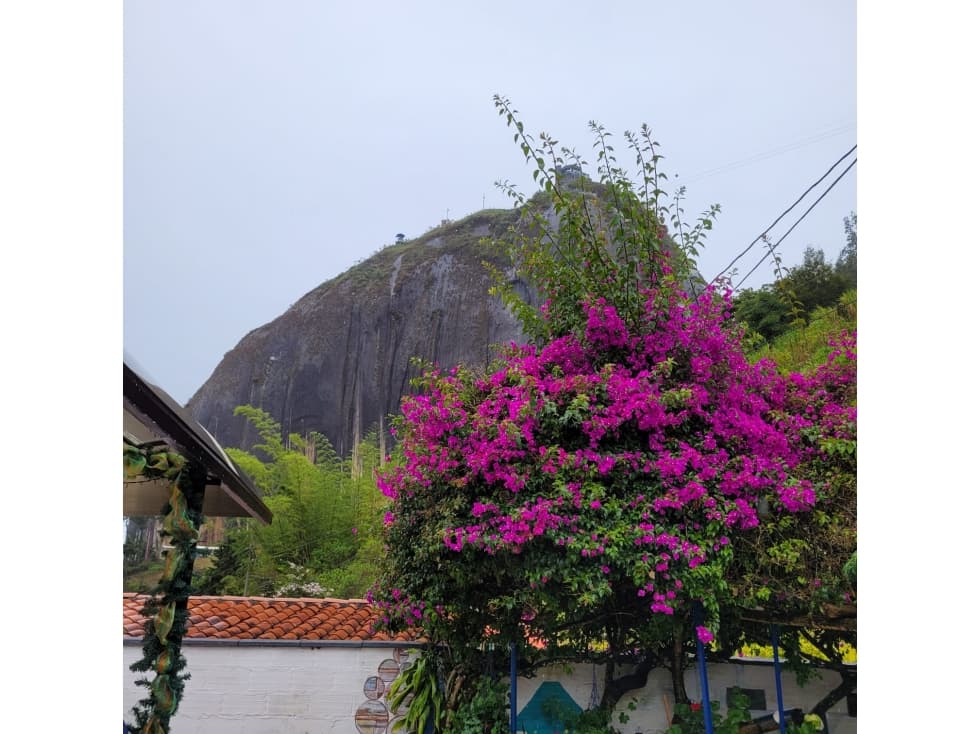 Finca en Venta Guatapé Antioquia - 1