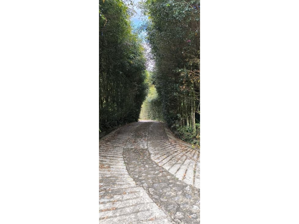 VENTA DE FINCA EN ELPEÑOL ANTIOQUIA - 1