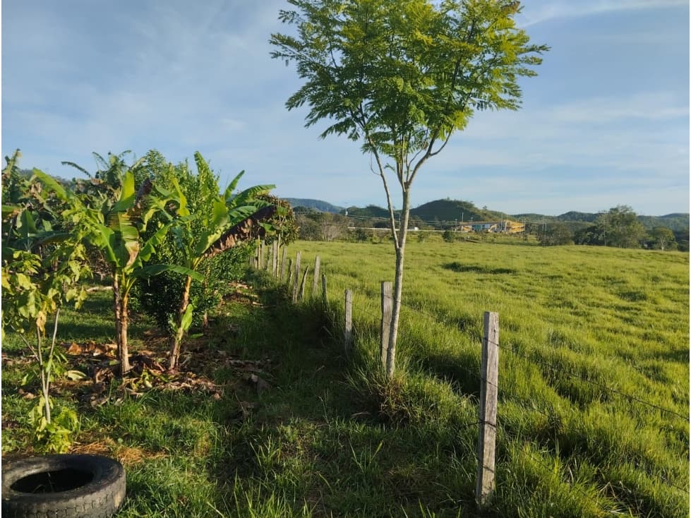 Lote Vegachí Carretera 4G - 1