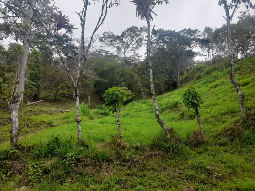 LOTE EN VENTA, SILVANIA, EXCELENTE OPORTUNIDAD - 1