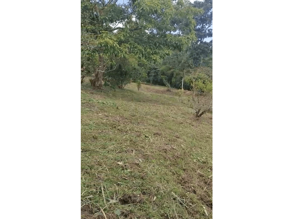 EXCELENTE LOTE EN VENTA - 3515m2- ICONONZO TOLIMA - 1