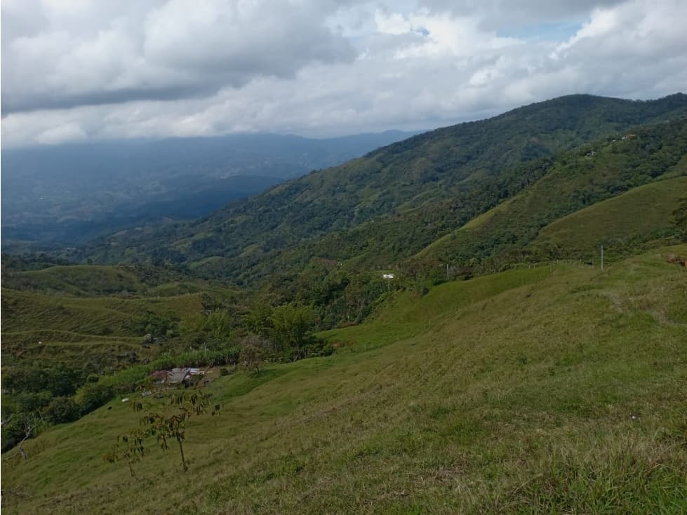 Finca Bellavista de Cisneros Antioquia - 1