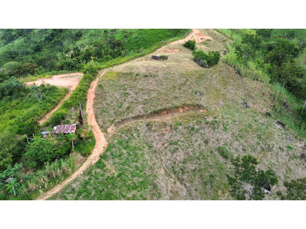 Lote Terreno en Vereda el Silencio, YOLOMBÓ - 1