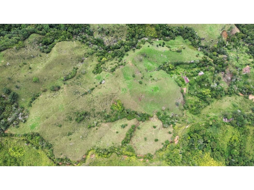 PROYECTO AVANZADO EN VENTA - 1