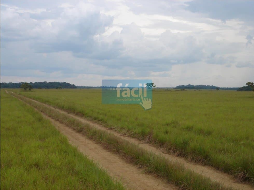 Venta Finca en Cumaribo-Vichada, sector Malicia Baja - 1