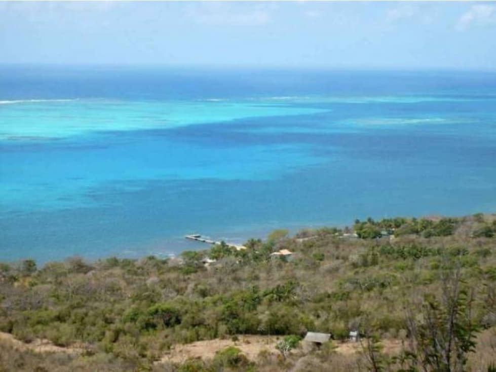 Terreno en Isla Providencia - para desarrollo Turistico - 1