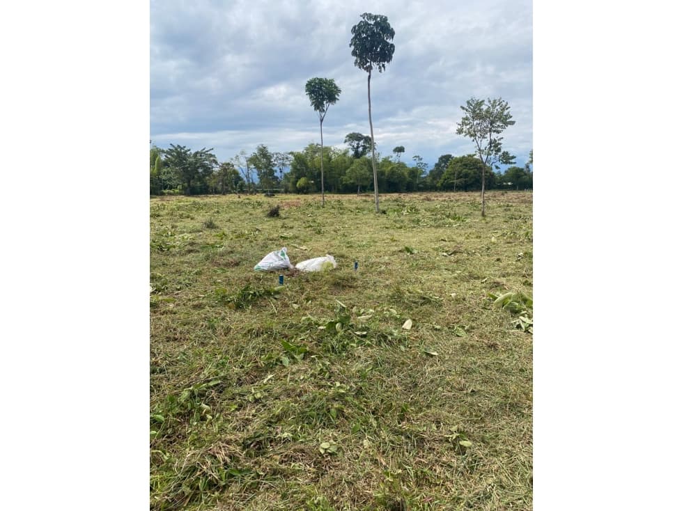 Venta de lotes en Acacias, Meta | PRADERAS - 1