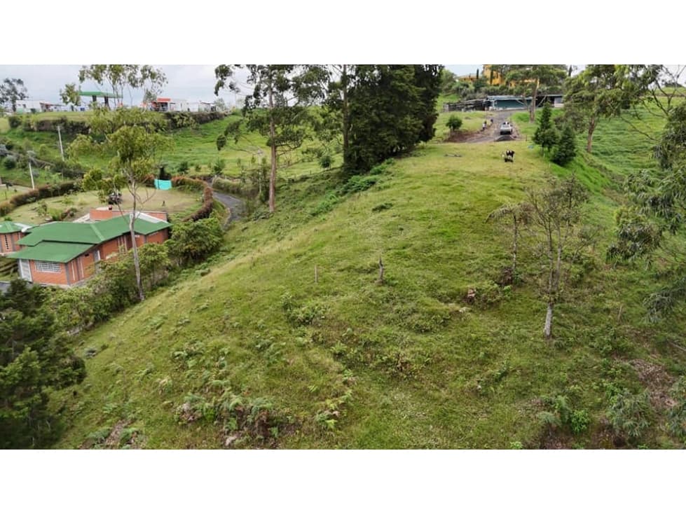 EN VENTA LOTE VIA PEREIRA ARMENIA VEREDA EL MANZANO - 1