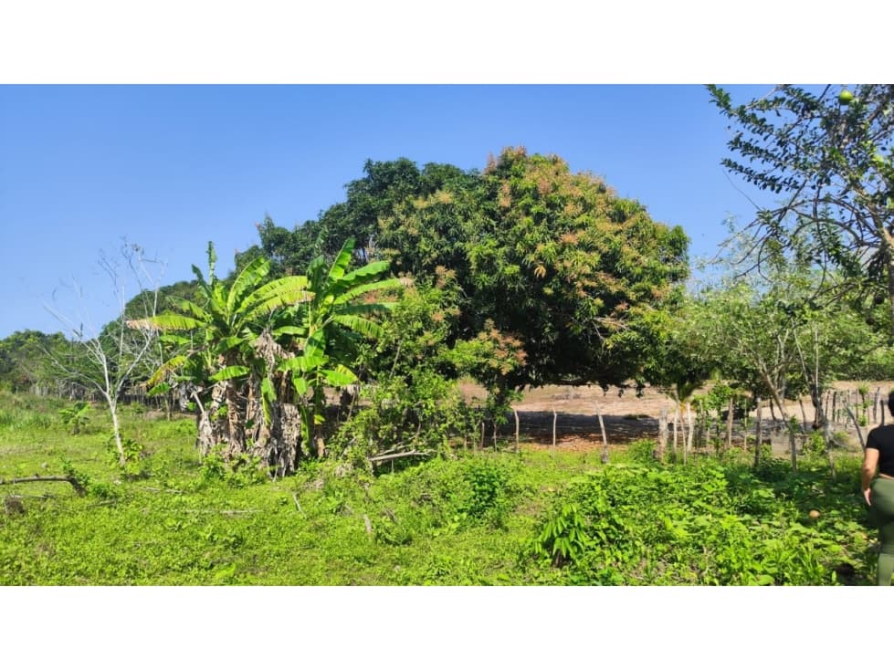 LOTE DISPONIBLE PARA VENTA - 1