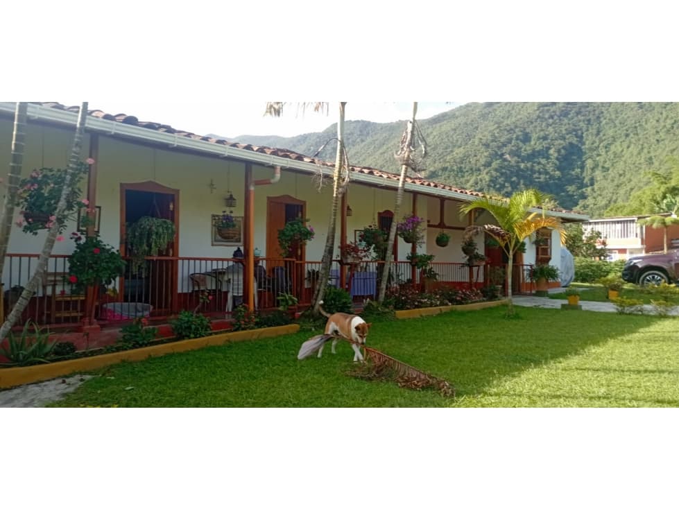 FINCA SANTA BARBARA - 1