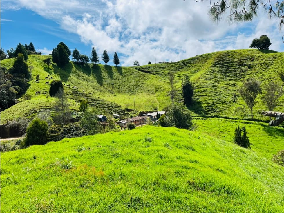 Finca agropecuaria en venta Santa Rosa de Osos 31.5 Ha - 1