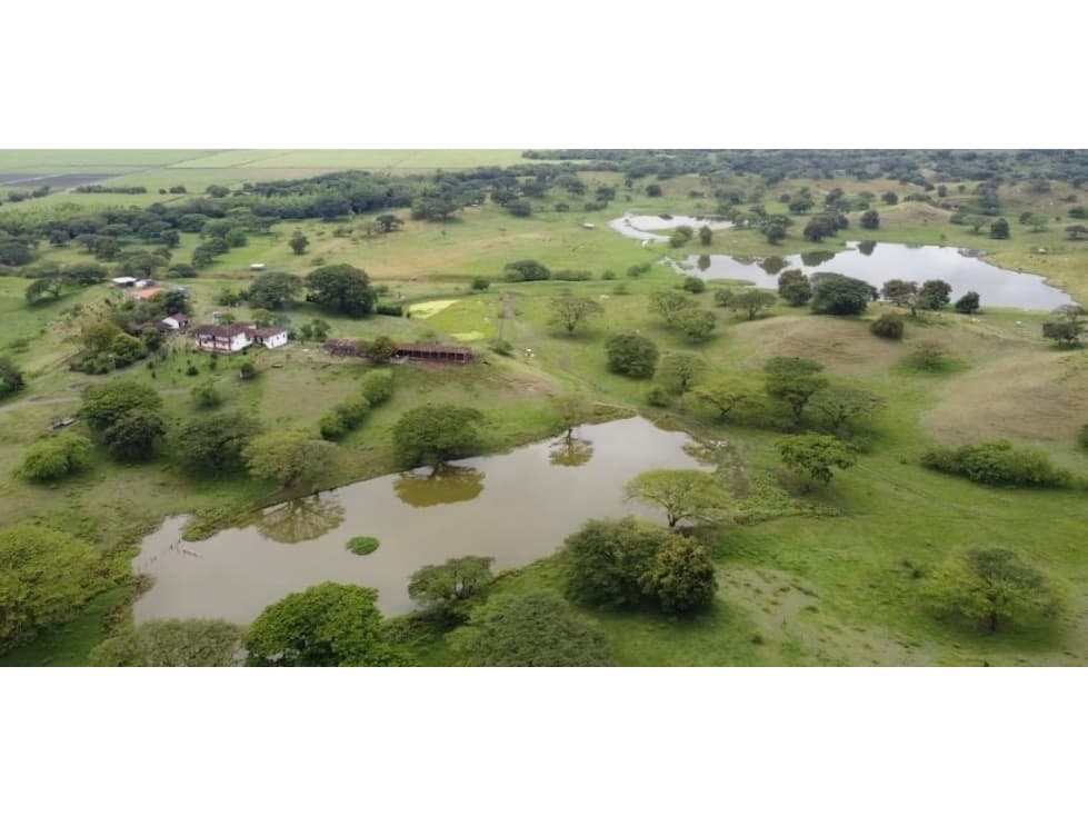 Hacienda para la venta en Zarzal, Valle del Cauca!! - 1