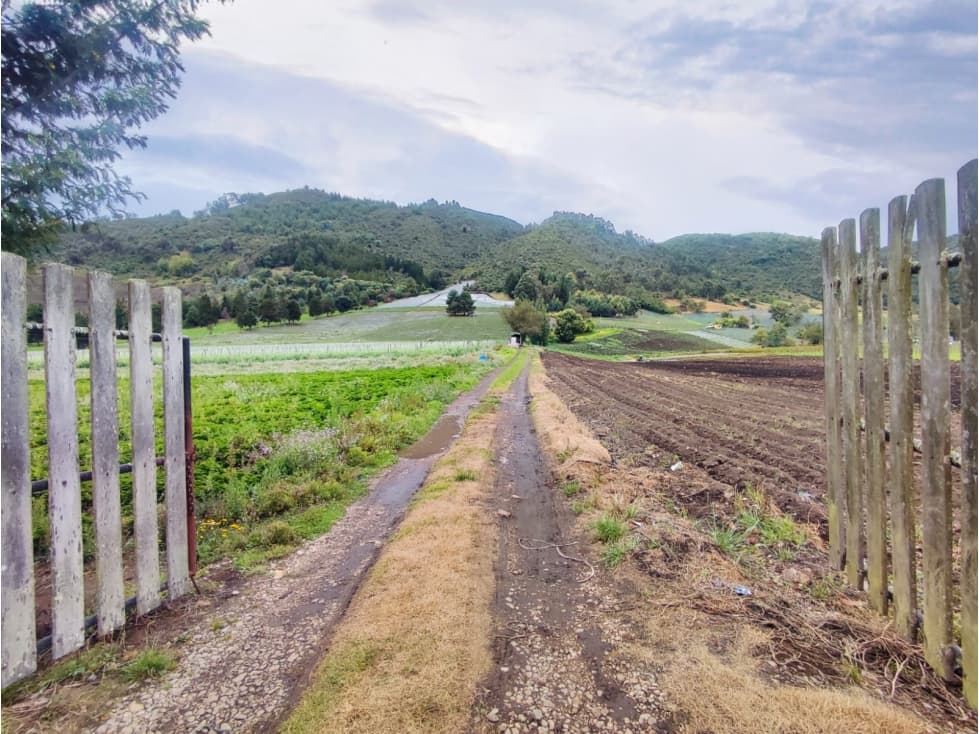 FINCA EN VENTA EN SUBACHOQUE - 1
