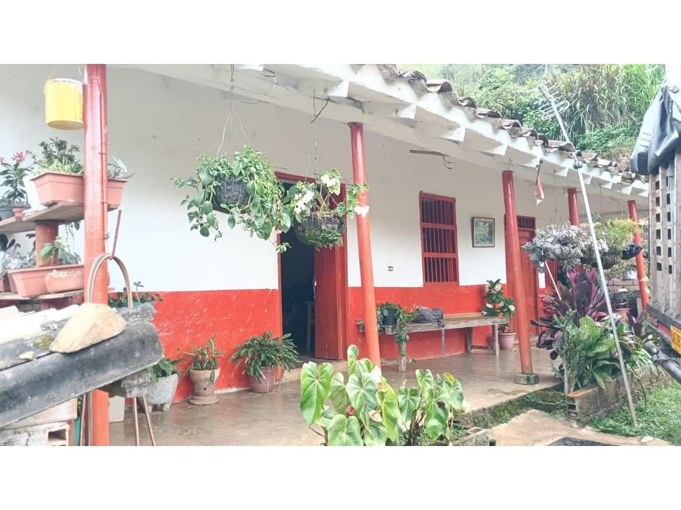 VENTA DE FINCA EN ANGELOPOLIS - 1