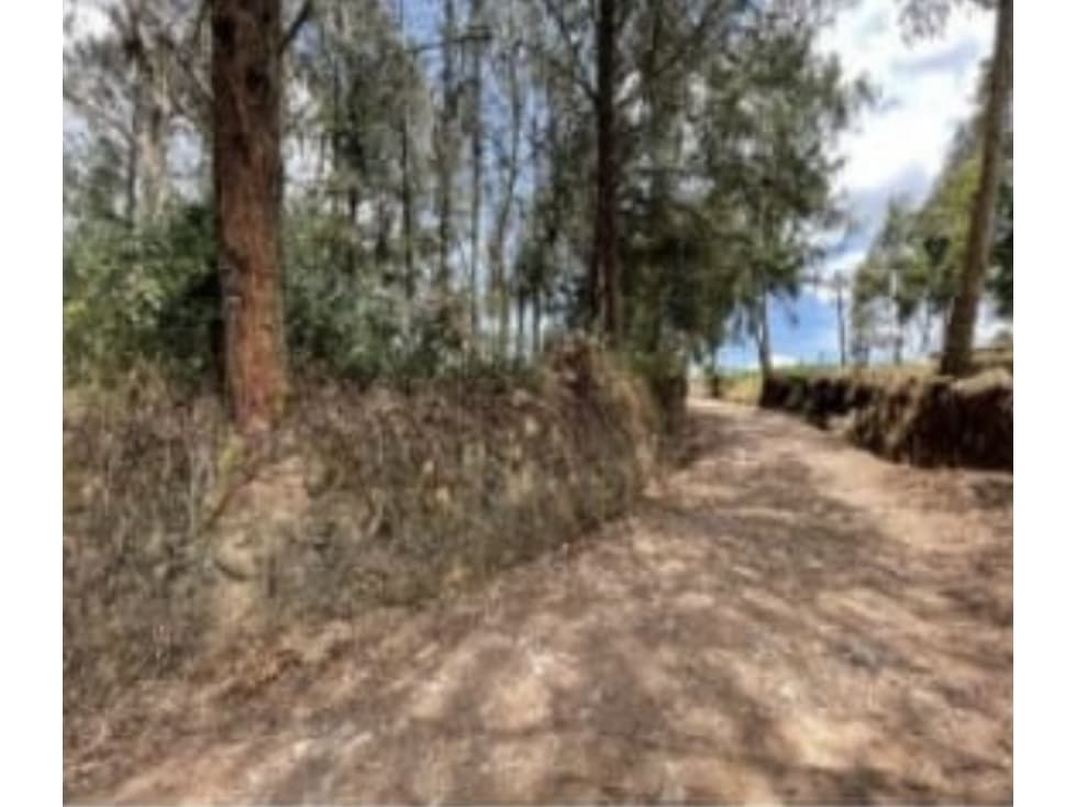 Lote 114.000 m2, Santa Rosa de Osos - 1