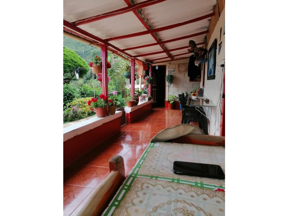 VENTA FINCA EN CONCORDIA, VEREDA BURGOS - 1