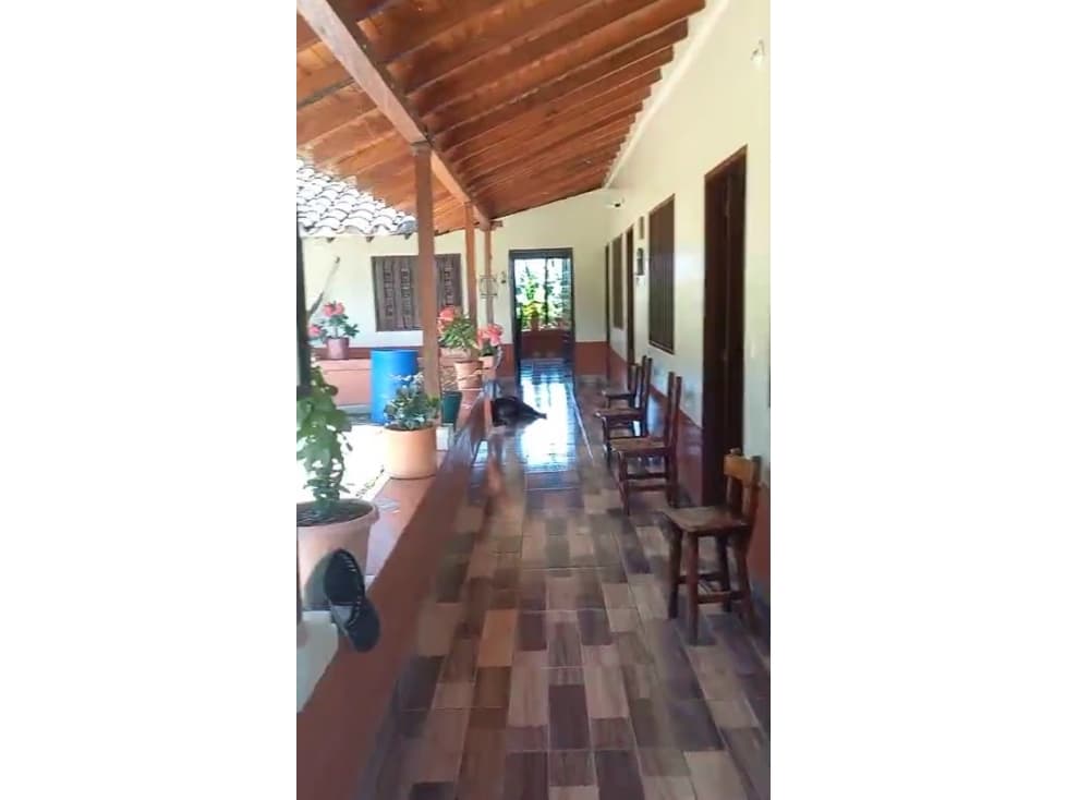 VENTA FINCA CAFETERA EN ANDES, VEREDA RISARALDA - 1