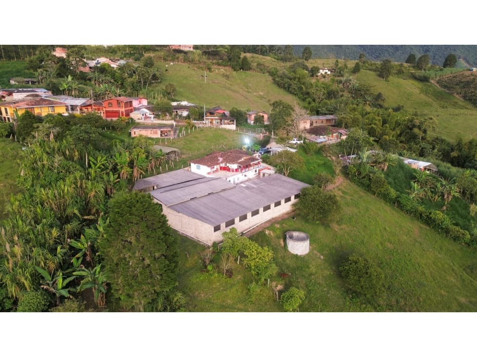 VENTA DE FINCA EN ANGELÓPOLIS - 1