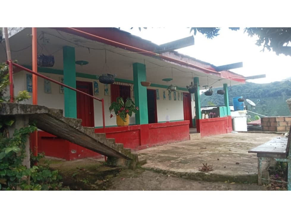 VENTA FINCA CAFETERA EN ANDES, TAPARTO - 1
