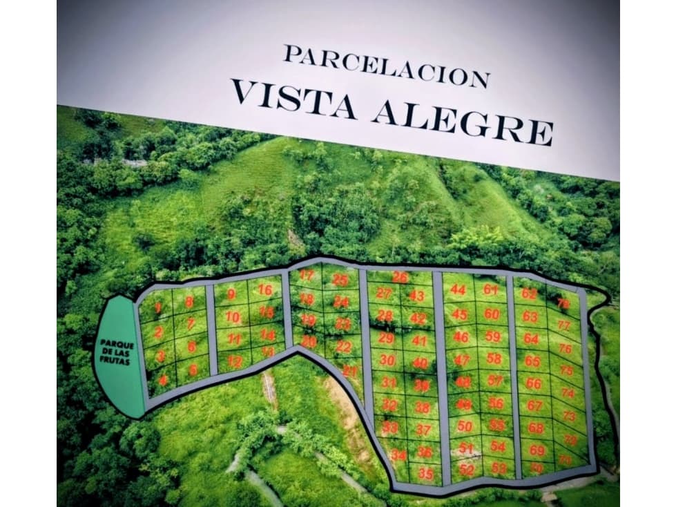 VENTA EN PROINDIVISO PROYECTO VISTA ALEGRE EBÉJICO ANT - 1
