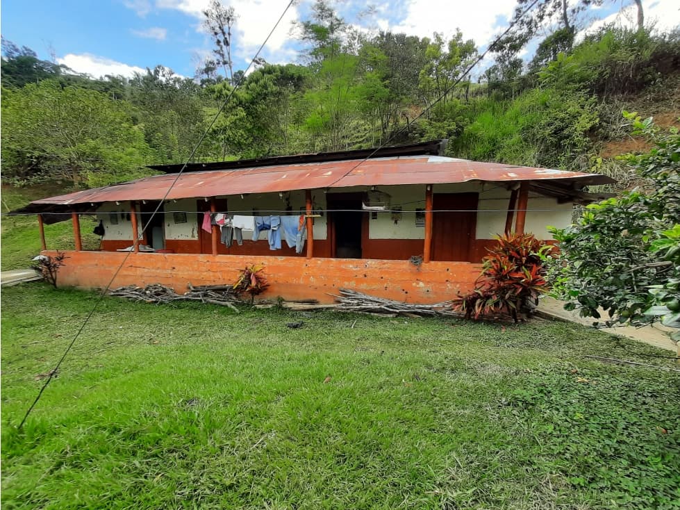 VENTA FINCA CAÑASGORDAS RURAL ZONA NORTE - 1