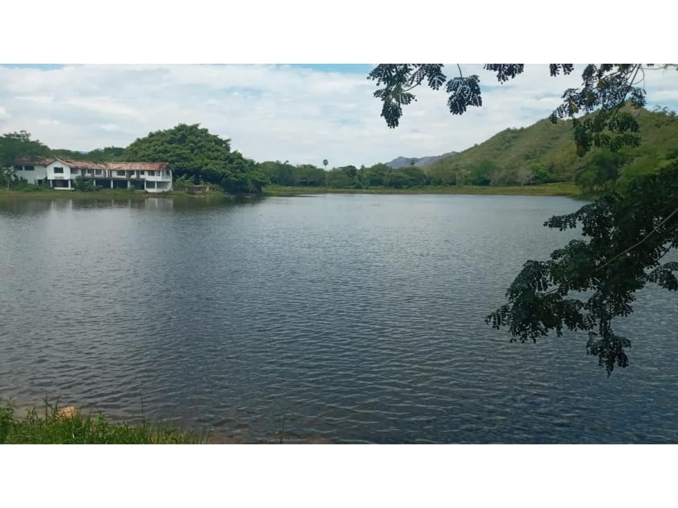 Fincas del Paso - 1
