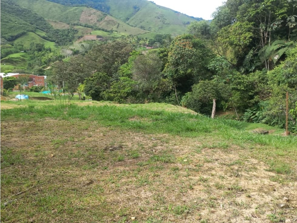 Venta de Lote Cisneros Antioquia C6652397 - 1